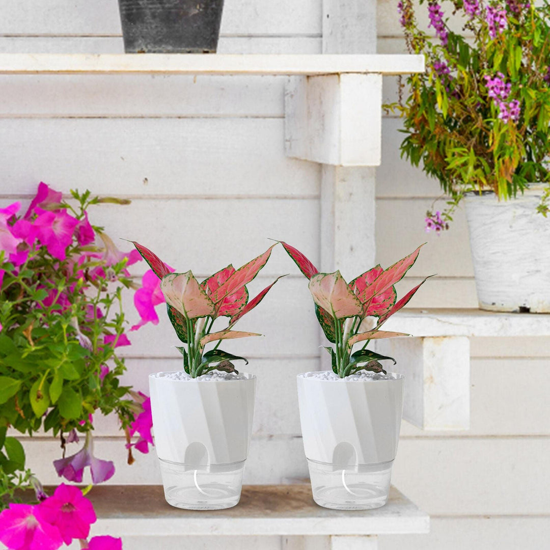 Självvattnande Blomkruka