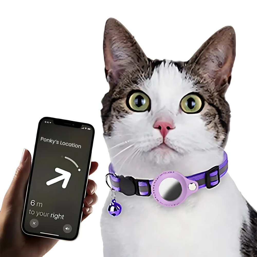 Vattentät Reflekterande Pet Airtag Hållare Halsband