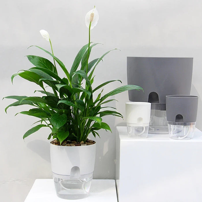 Självvattnande Blomkruka