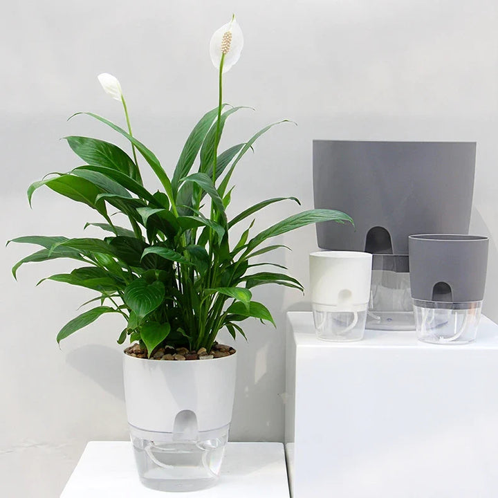 Självvattnande Blomkruka