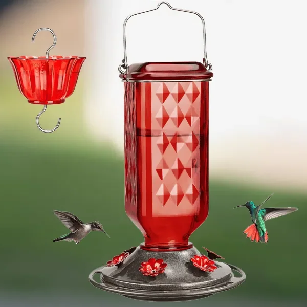 24oz läckagesäker glas kolibri matare