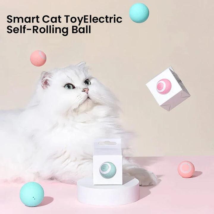 2 i 1 Simulerad Interaktiv Jakt Katt Leksak