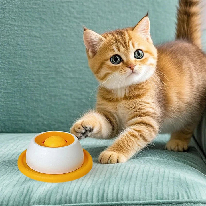 Långsam Matning Katt och Hund Slickmatta