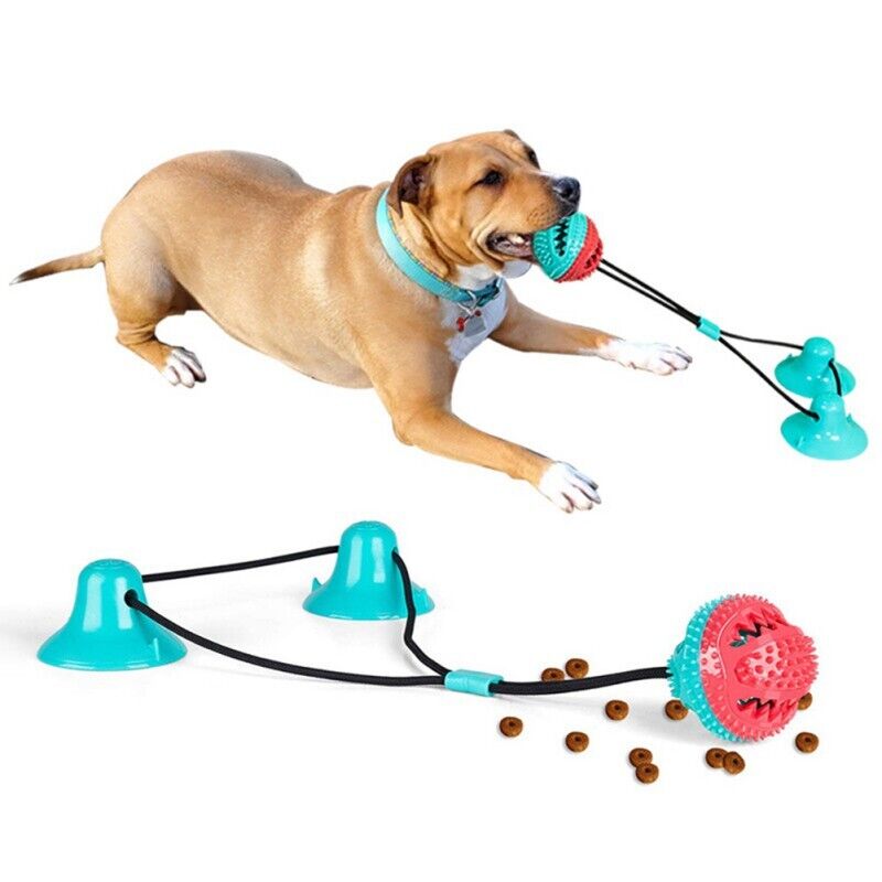 Hund Sugleksak