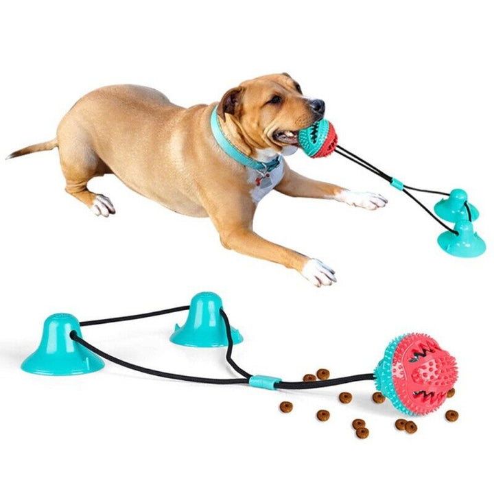 Hund Sugleksak