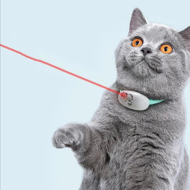 Interaktiv Laser Katt Halsband med USB Laddning