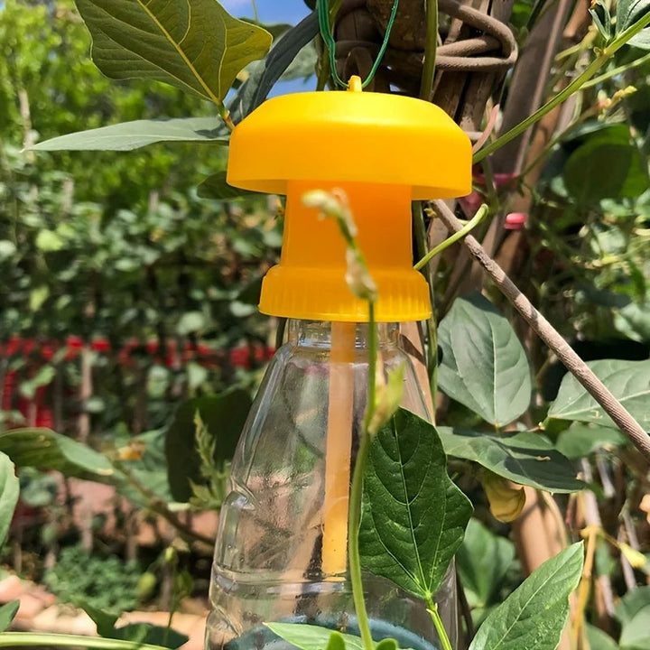 Fruktflugefälla med hängande lock