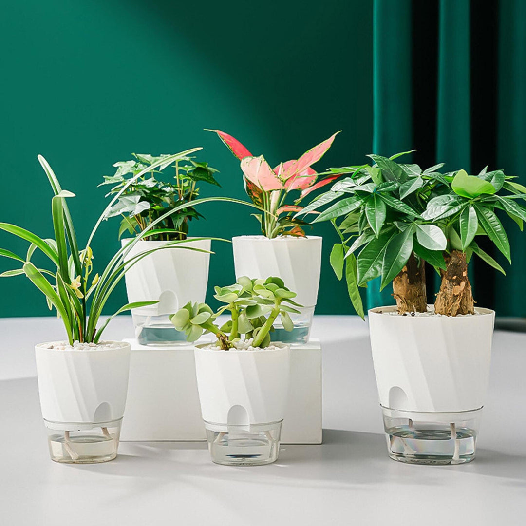Självvattnande Blomkruka