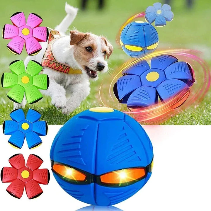 Flygande Tallrik Boll Hundleksak