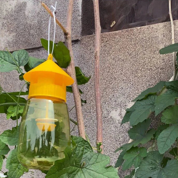 Hängande Fruktfluga Fälla