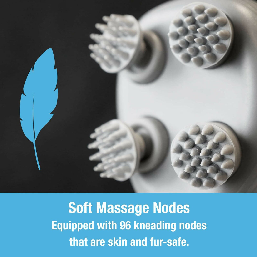 Djurmassör