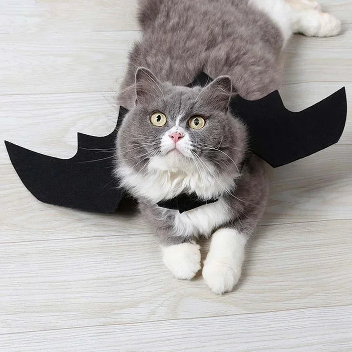 Fladdermusvinge Halloween-kostym för husdjur