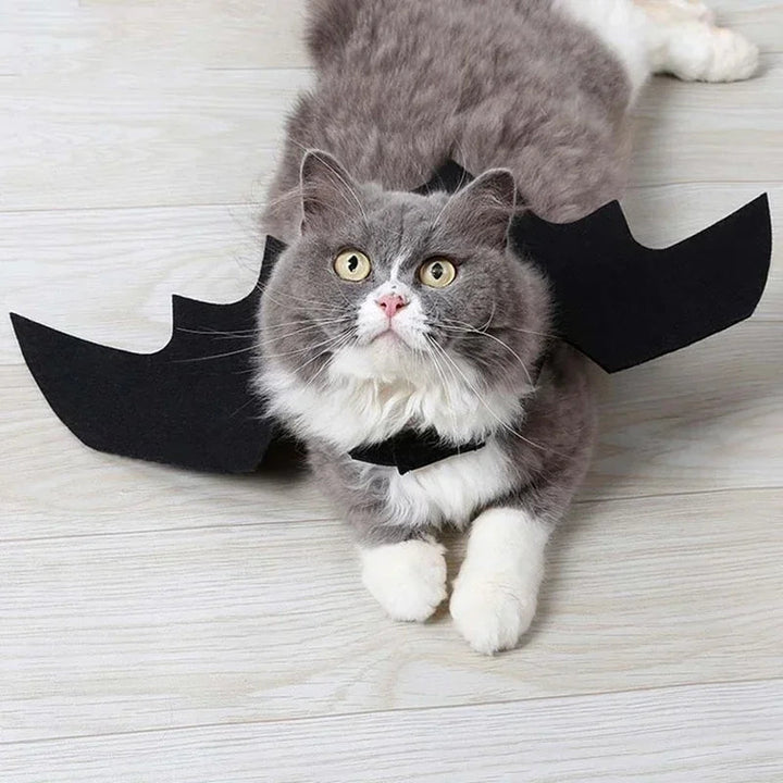 Fladdermusvinge Halloween-kostym för husdjur