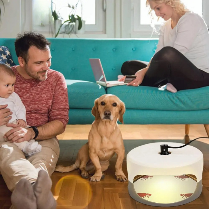Inomhus Sängbugg Fälla