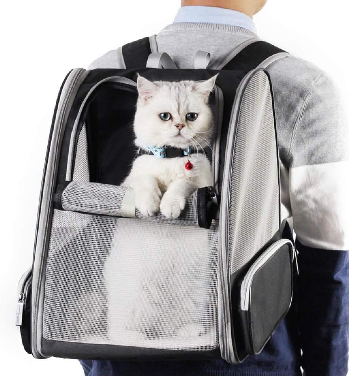 Ryggsäck Bärväska Katt