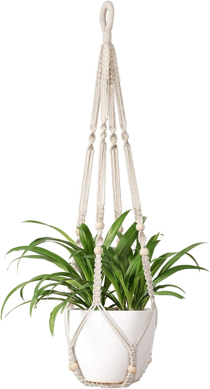 Inomhus Hängande Blomkruka
