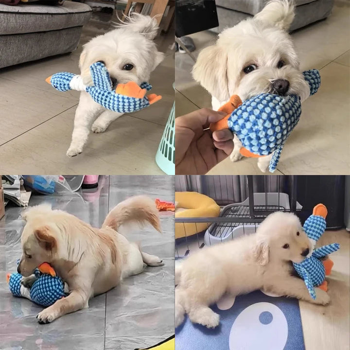 Plush Hundtuggleksak med Squeaker