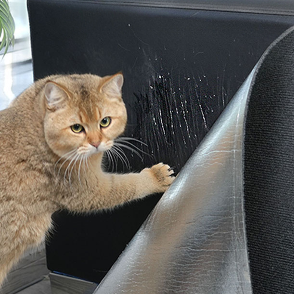 Ultimata Katt Klösmatta Soffskydd Matta