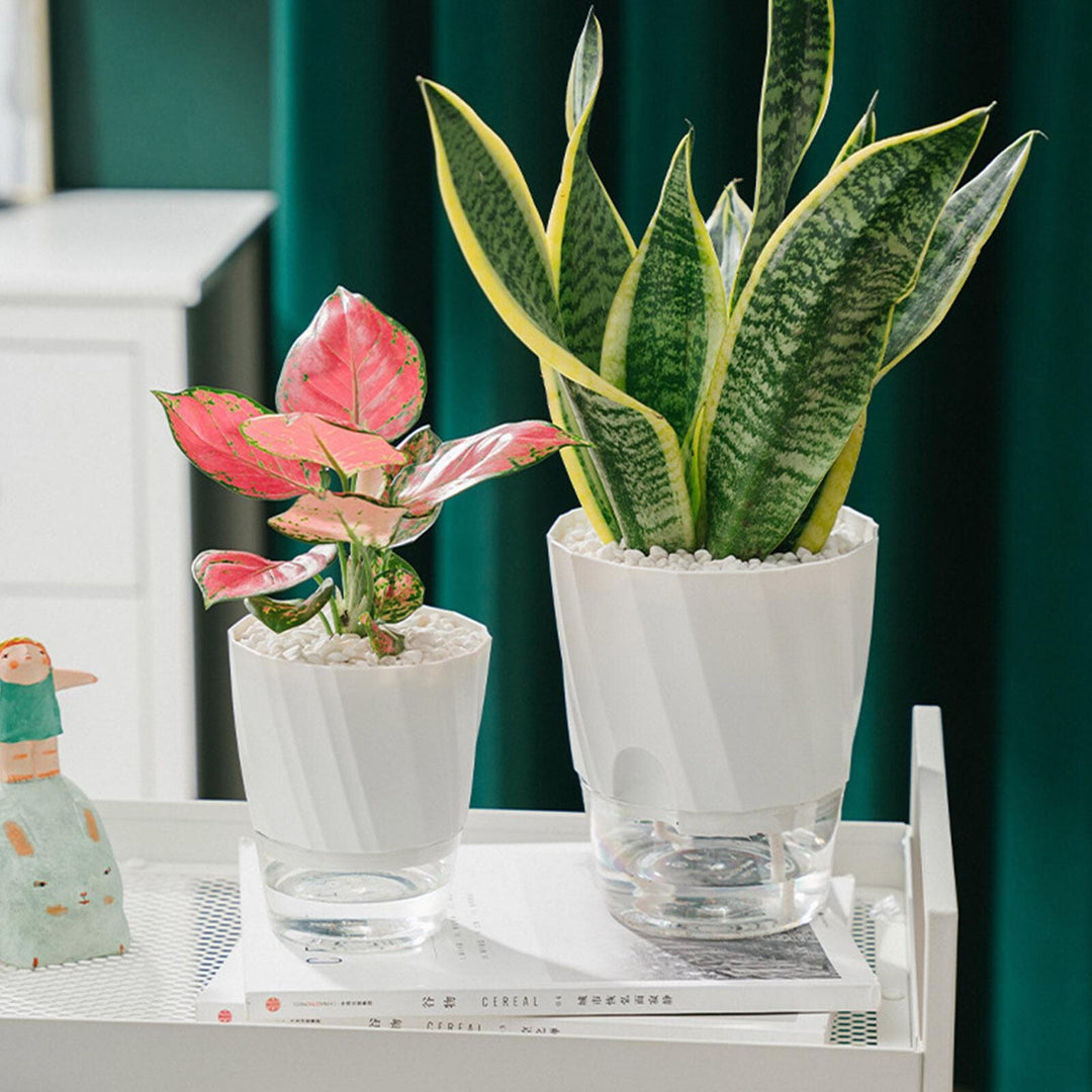 Självvattnande Blomkruka