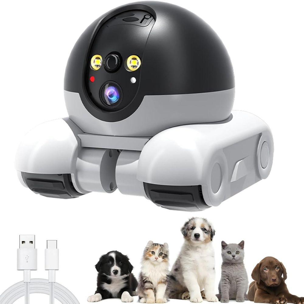Inomhus Husdjur Hund Katt Kamera