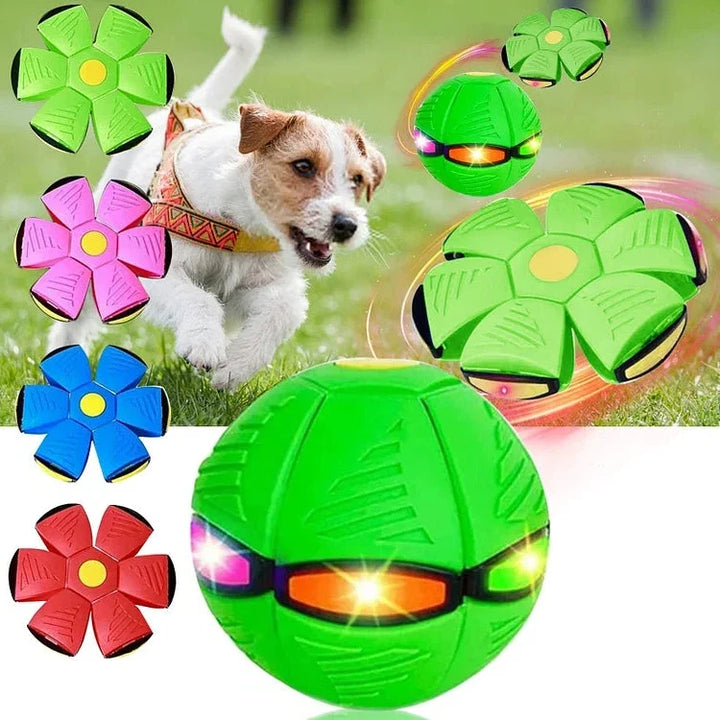 Flygande Tallrik Boll Hundleksak