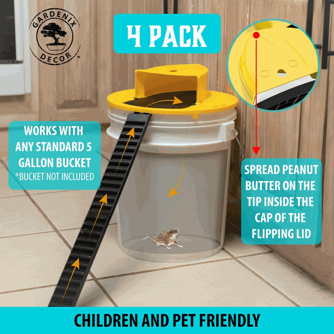 4-Pack Hinklock Musfälla