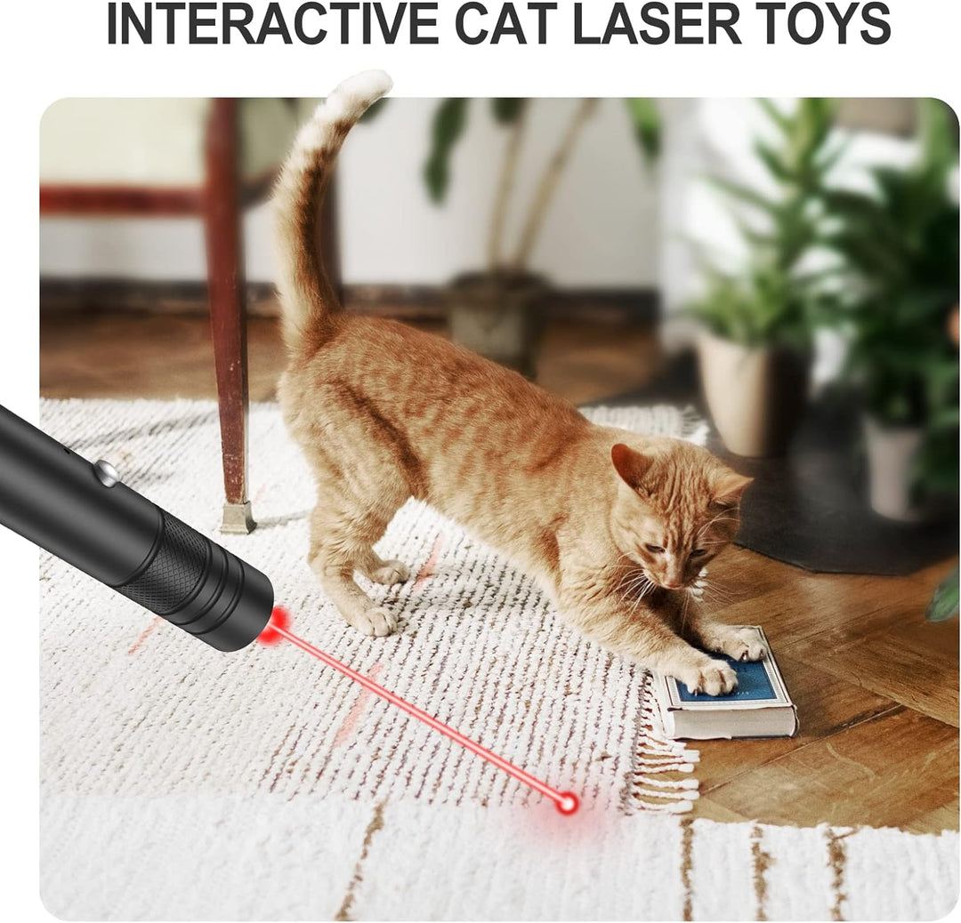 Lång räckvidd Grön Laserpekare Hög effekt