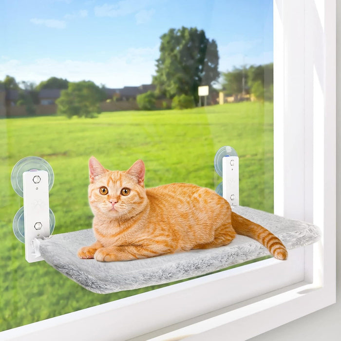 Katt Hängmatta Fönster