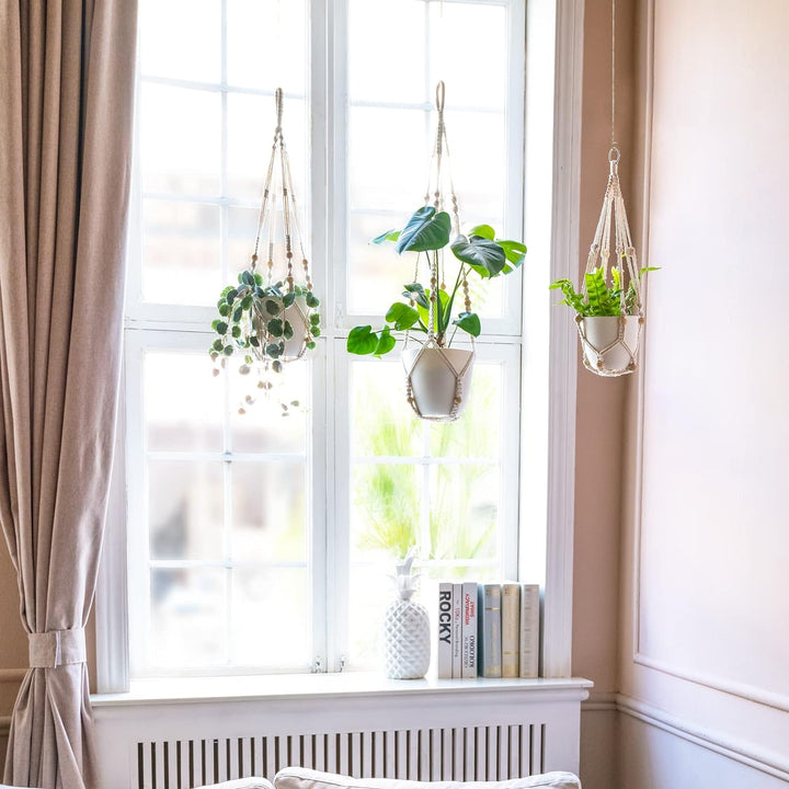 Inomhus Hängande Blomkruka