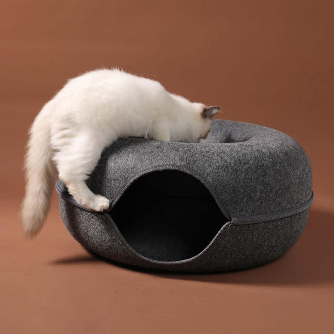 Tunnel Interaktiv Kattbädd