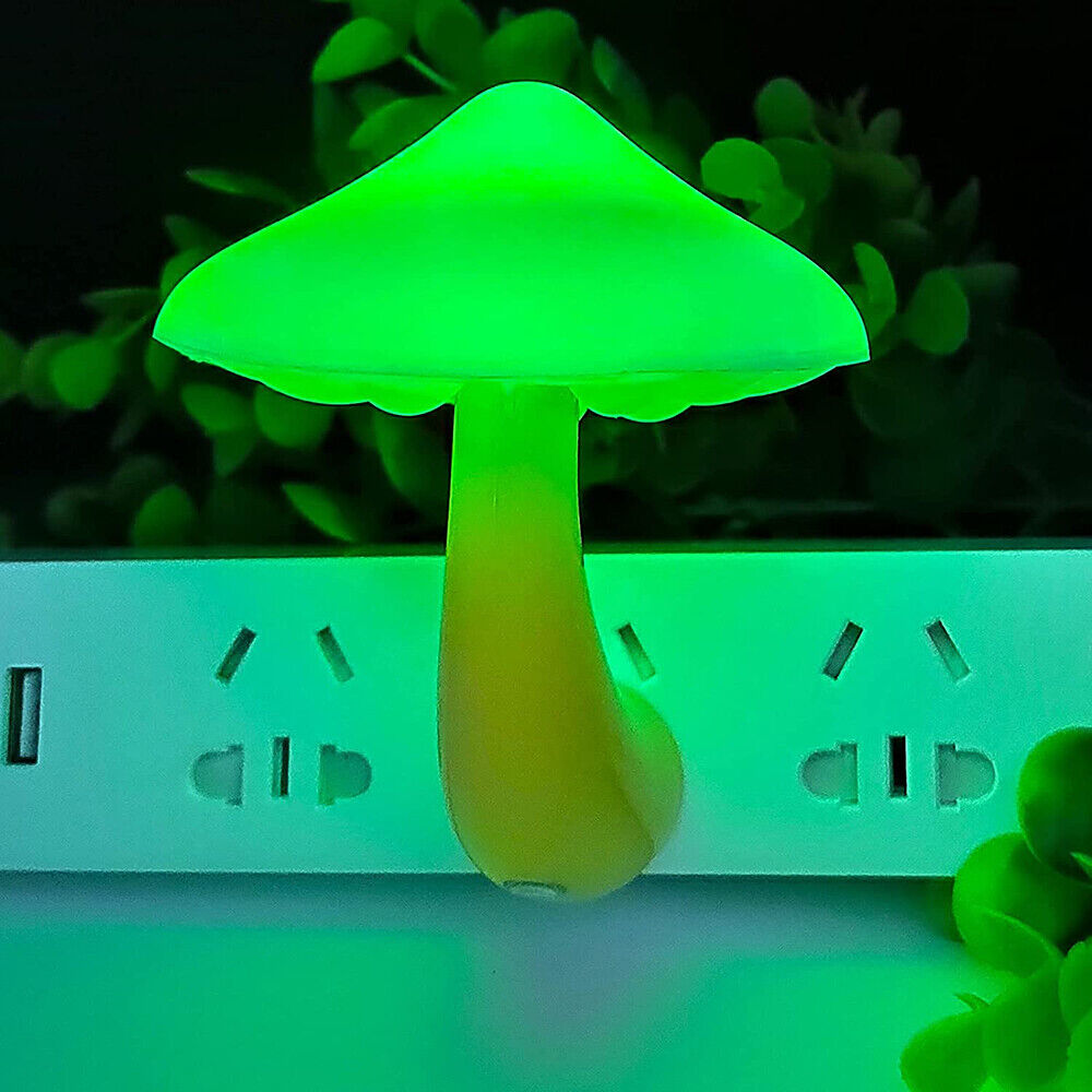 Svamplampa