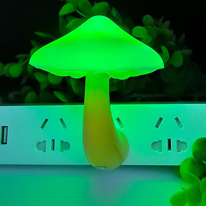 Svamplampa