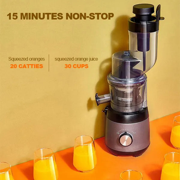 Automatisk Juicer - Juicer för hushållsrester av frukter och grönsaker