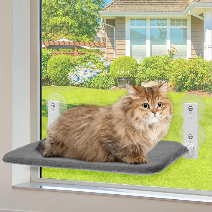 Katt Hängmatta Fönster