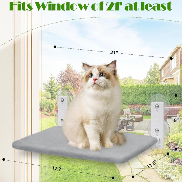Katt Hängmatta Fönster