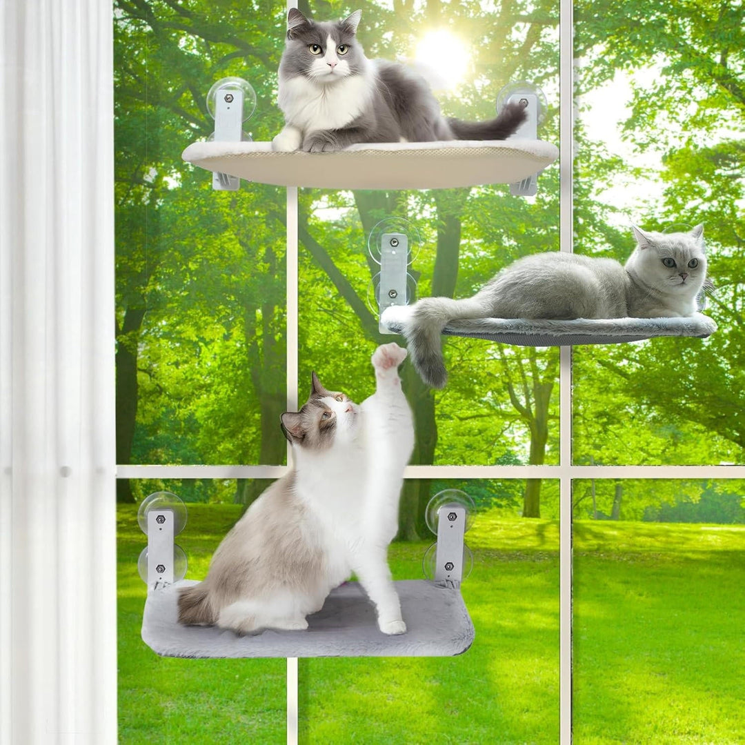 Katt Hängmatta Fönster