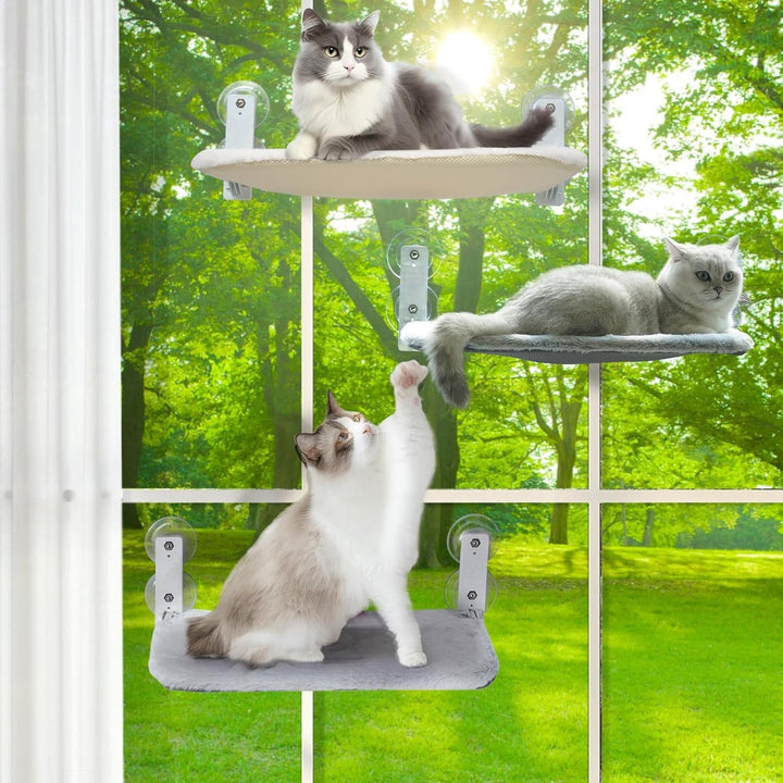Katt Hängmatta Fönster