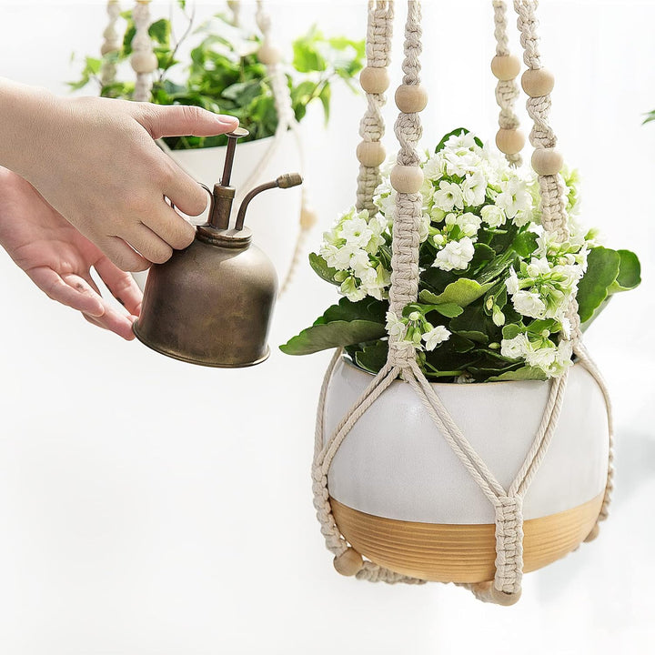 Inomhus Hängande Blomkruka