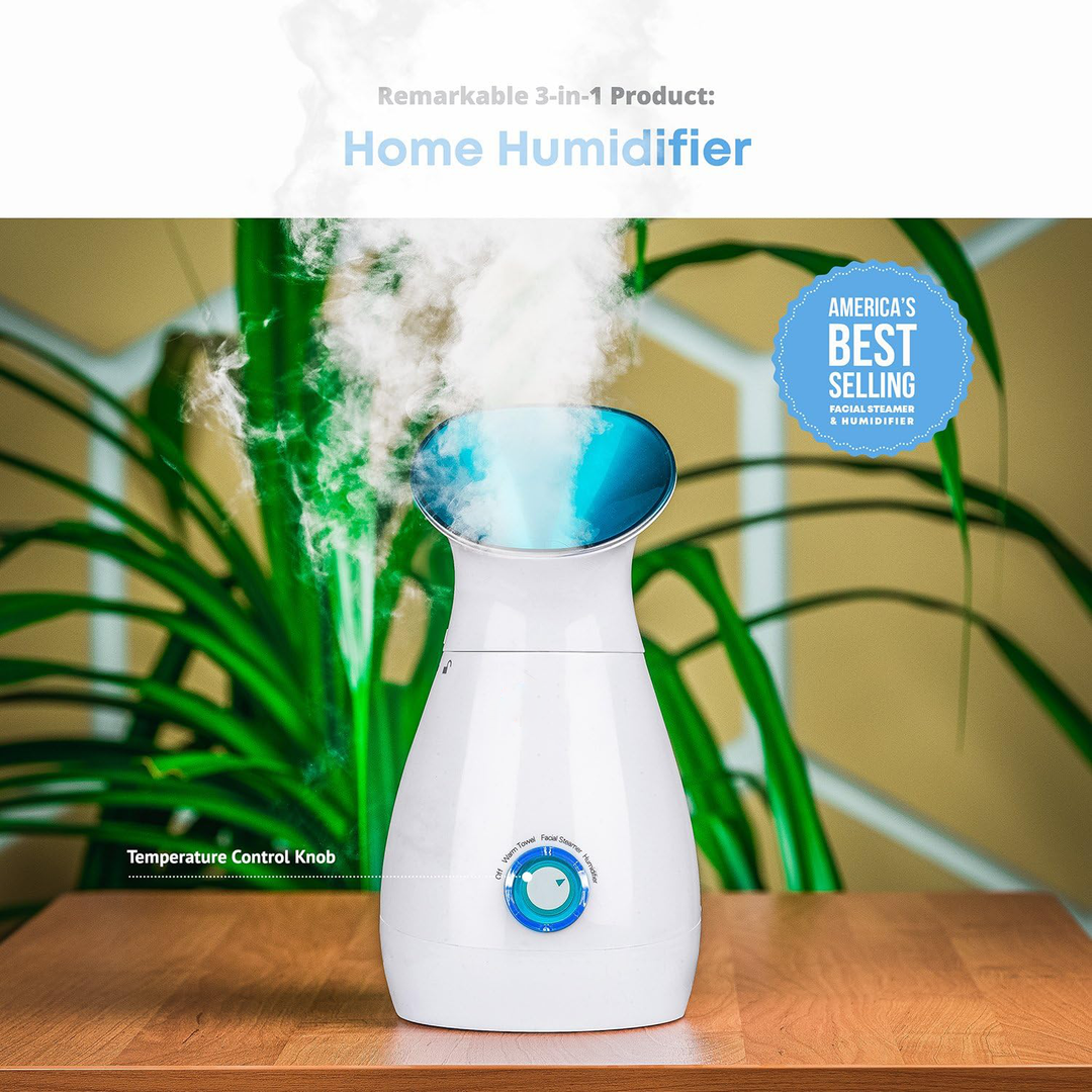Nano Ionsk Ansiktsångmaskin