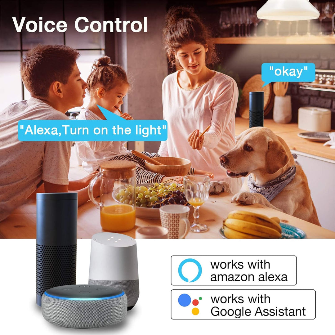 WIFI LED Smart Glödlampor