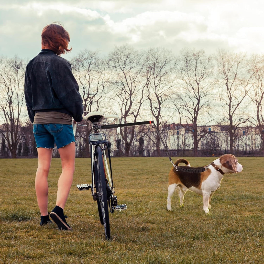 Cykelhund Dragkoppel