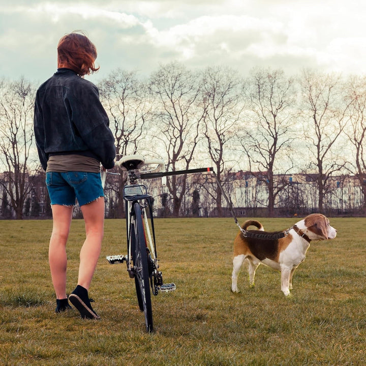 Cykelhund Dragkoppel