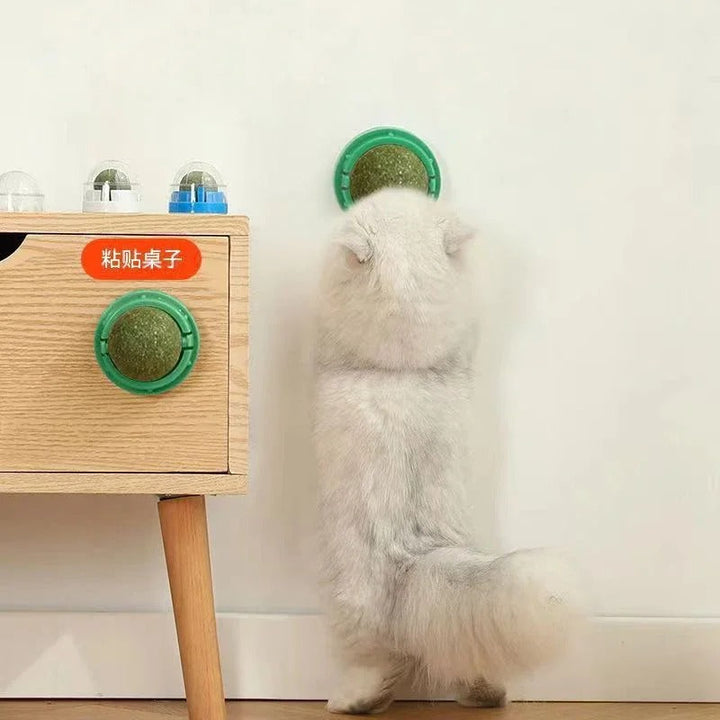 4 Pcs Premium Catnip Ball