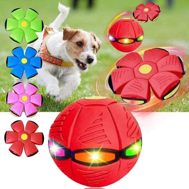 Flygande Tallrik Boll Hundleksak