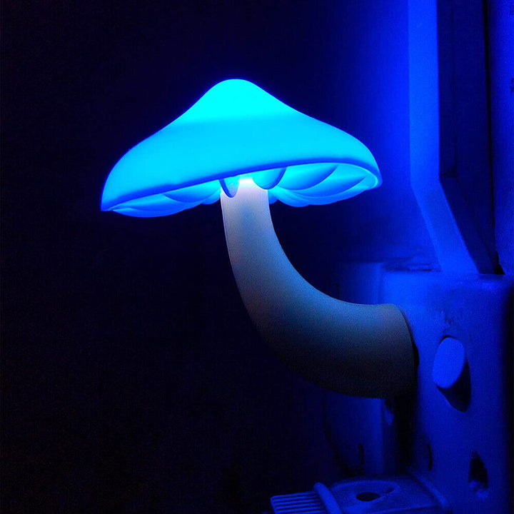 Svamplampa