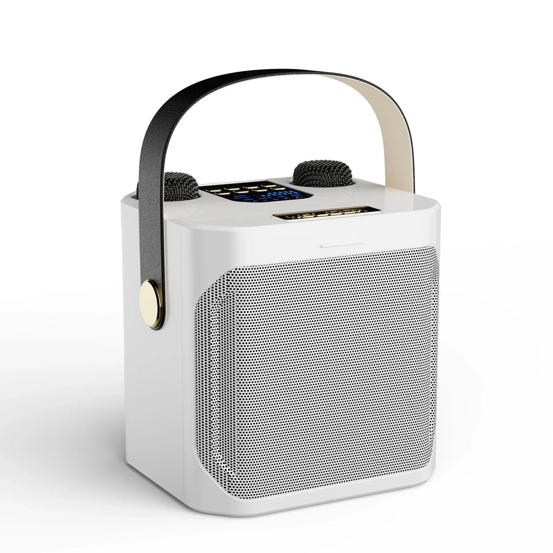 Kraftfull Karaoke Bluetooth Högtalare – Portabel 360°
