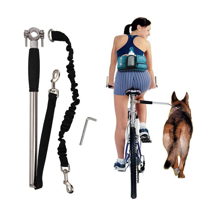 Hundcykelsele