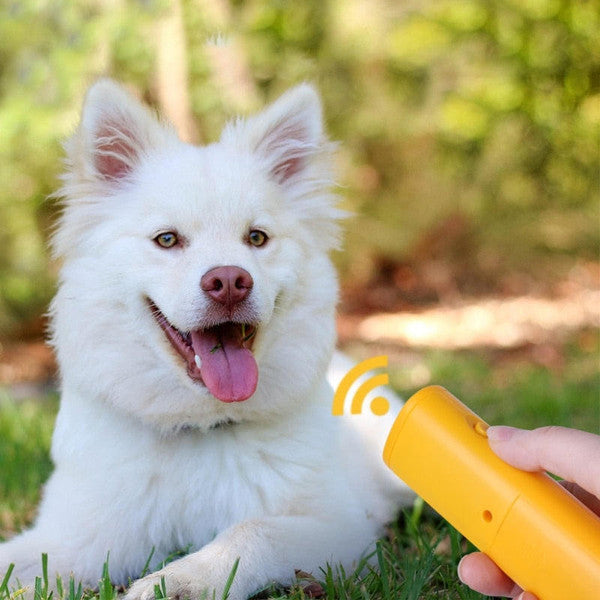 Anti-Bark Box För Hundar