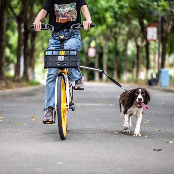 Hundcykelsele