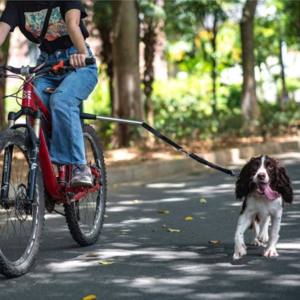Hundcykelsele